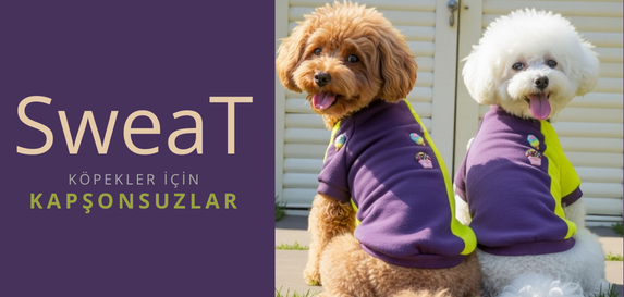 kapşonsuz köpek sweat